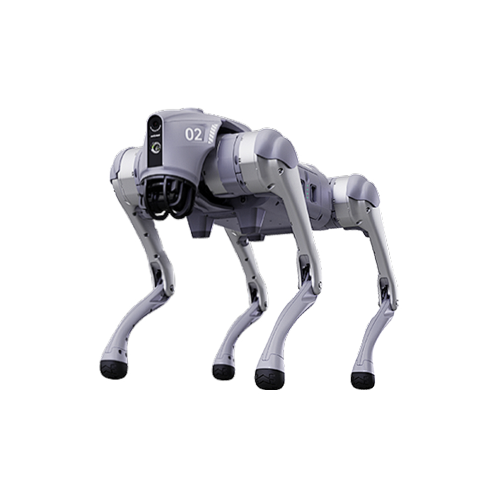 Robotic dog oil seal
